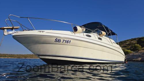 Sea Ray 240 DA scheda tecnica e recensioni